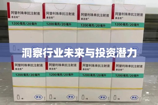 中山洞察行业未来与投资潜力