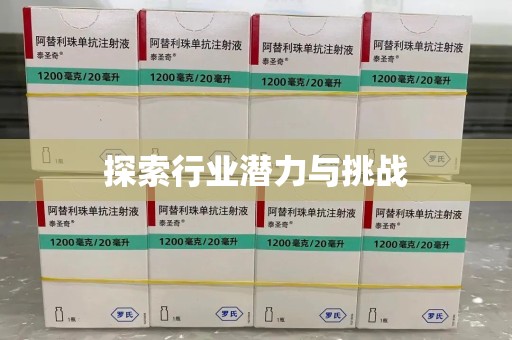 中山探索行业潜力与挑战