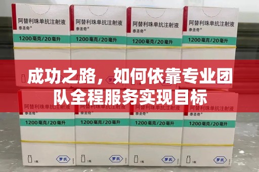 中山成功之路，如何依靠专业团队全程服务实现目标
